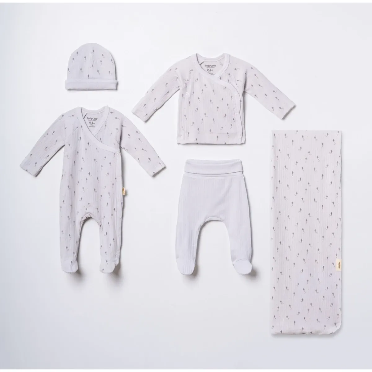 Newborn Going-Home Set — Set pieces: 5 — 0-3 months — 31120OC